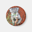 Recherche de marsupiaux magnets Faune