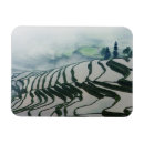 Recherche de riz magnets Paysage