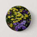 Recherche de pansement badges Violet
