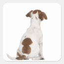 Recherche de bruxelles belgique autocollants Dog