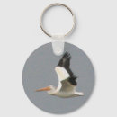 Recherche de pelican porteclés Oiseaux