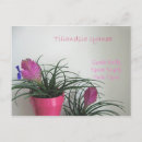 Recherche de quille cartes postales Pour tous