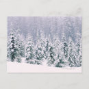 Recherche de couverts cartes postales Sapin