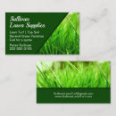 Recherche de gazon pelouse cartes visite Professionnel