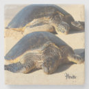 Recherche de plage sablonneuse dessous de verres Mer