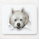 Recherche de chien westie tapis souris Westies