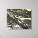 Recherche de étangs impressions sur toile Lièvre