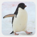Recherche de faune antarctique autocollants Manchot