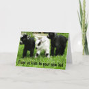 Recherche de humour parental vœux cartes Adoption