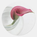 Recherche de calla lily autocollants Calle