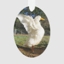 Recherche de mon canard ornements Élégant