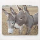 Recherche de burro tapis souris Âne