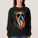 Recherche de bullie Coloré