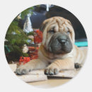 Recherche de chien shar pei autocollants Dog