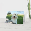 Recherche de chien parlant vœux cartes Photographie