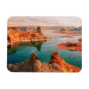 Recherche de cactus magnets Usa