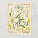 Recherche de meilleur fils posters Pour elle