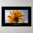 Recherche de perspective posters Fleur