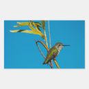 Recherche de aviaire autocollants Photographie