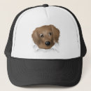 Recherche de teckel casquettes Saucisse