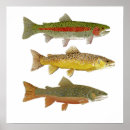 Recherche de truite posters Pêche