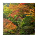 Recherche de jardin japonais carreaux Chuck haney