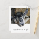 Recherche de curieux cartes postales Chèvre