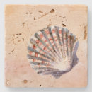 Recherche de coquilles dessous de verres Pour eux