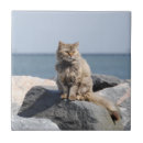 Recherche de bord de la mer carreaux Photographie