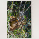 Recherche de lizard puzzles Exotique