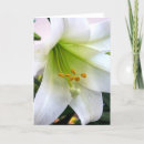 Recherche de pollen vœux cartes Fleur