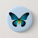 Recherche de chenilles badges Papillon