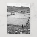 Recherche de prisonniers cartes postales Images de guerre civile