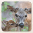 Recherche de stag dessous de verres Faune