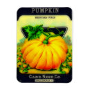 Recherche de grains magnets Pour elle