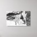 Recherche de grimpeurs posters Lanterne