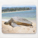 Recherche de hawaïen tapis souris Tortues