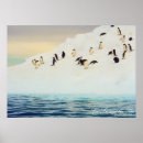 Recherche de iceberg posters Pingouins