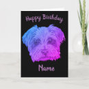 Recherche de yorkshire terrier anniversaire cartes Chiot