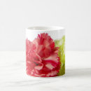Recherche de oeillet tasses Fleur