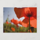 Recherche de terry cartes postales Couleur vive
