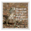 Recherche de curieux posters Lézard