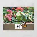 Recherche de conteneurs cartes postales Jardin