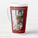 Recherche de image de chat tasses Pour tous