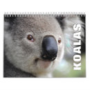 Recherche de koala calendriers Faune