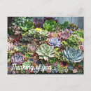 Recherche de succulente cartes postales Pour elle