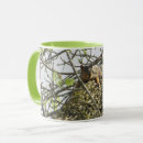 Recherche de squirrel tasses Nature