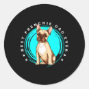Recherche de berger allemand noir autocollants Sibérien husky