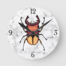Recherche de scarabée horloges Entomologie