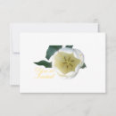 Recherche de tulipe blanche cartes postales Jaune